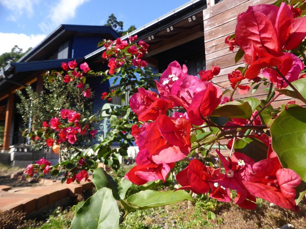 Pension Blue Drop Yakushima  Ngoại thất bức ảnh