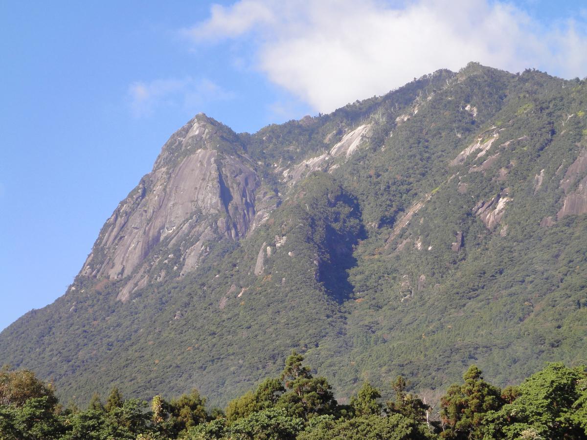 Pension Blue Drop Yakushima  Ngoại thất bức ảnh