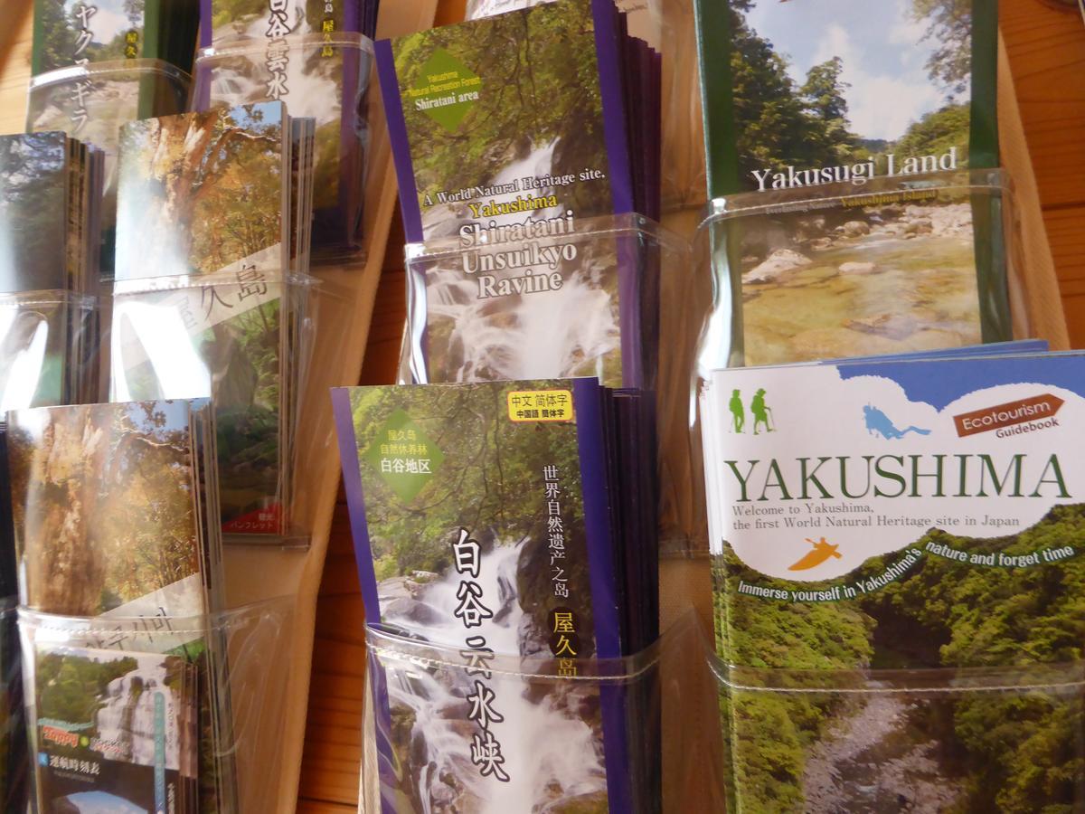 Pension Blue Drop Yakushima  Ngoại thất bức ảnh